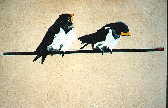 Schwalben