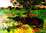 Mohnblumenwiese