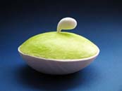 schale-hagita