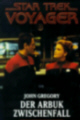 voy_05.jpg