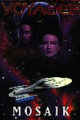 voy_11.jpg