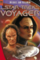voy_15.jpg