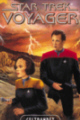 voy_16.jpg