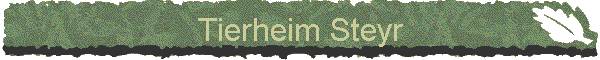 Tierheim Steyr