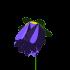 natur015.gif