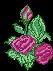 natur043.gif