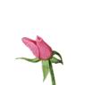 natur24.gif