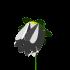 natur29.gif