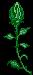 natur48.gif