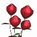 rose2.gif