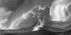 about surfing