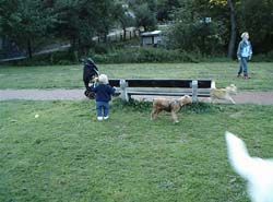 Darius.m.Hunden.m.Gabi