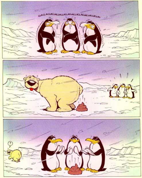 Bär und seine Feinde