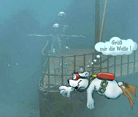 tauchender Bär