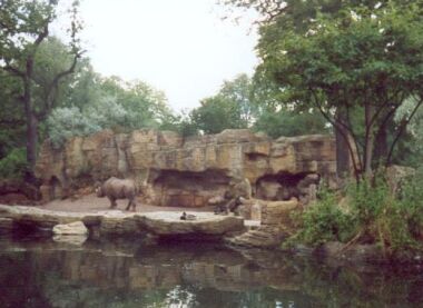 Nashorn