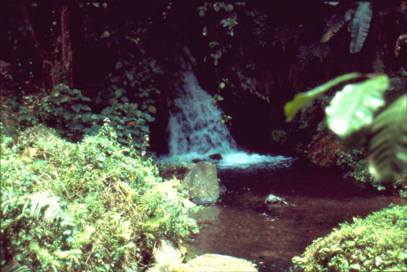 Wasserfall