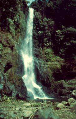 Gitgit Wasserfall