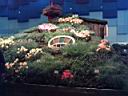 Blumenhalle02.jpg
