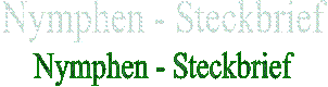    Nymphen - Steckbrief