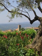 Blick aus dem Garten auf Montauroux