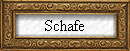 Schafe