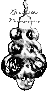 Nawarra