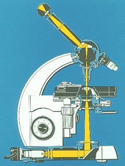 mikro.gif (41416 bytes)
