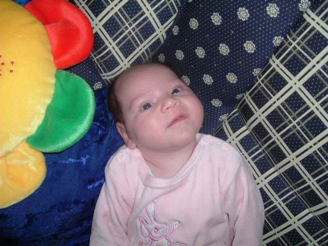 Nchstes Bild