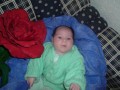 DSCF0833 * 800 x 600 * (75KB)