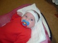 DSCF0877 * 800 x 600 * (40KB)
