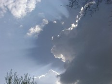 Bild vergrern