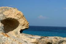 Platanitsi Chalkidiki Sitonia