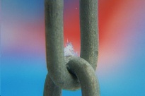 Macroaufnahme