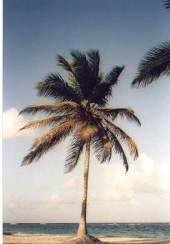 Punta Cana
