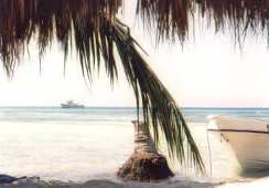 Saona