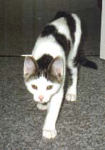 Charlie