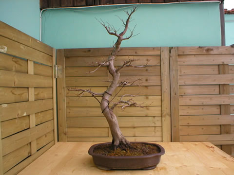 winter 2004