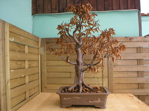 winter 2004