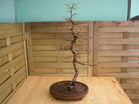 winter 2004