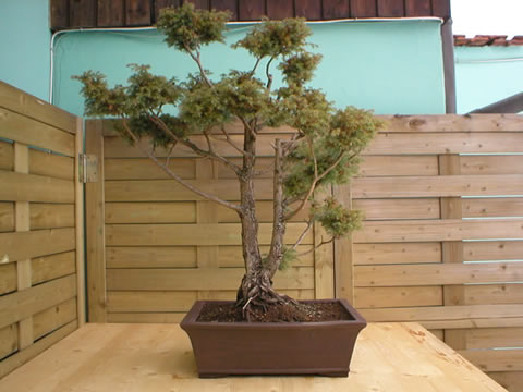 winter 2004