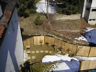 garden in the winter