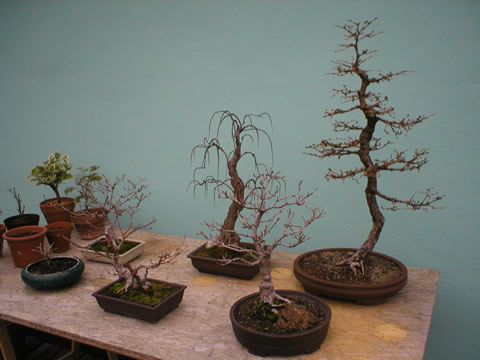 spring 2004