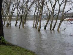 Ufer unter Wasser
