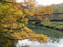 DSC00542.JPG