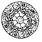 Schlange