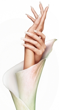 calla-werbung