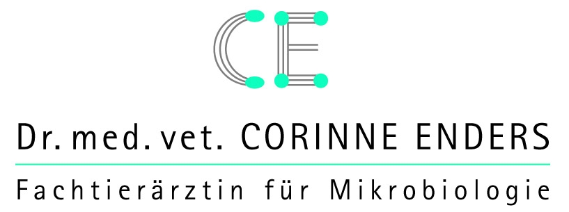 logo_enders