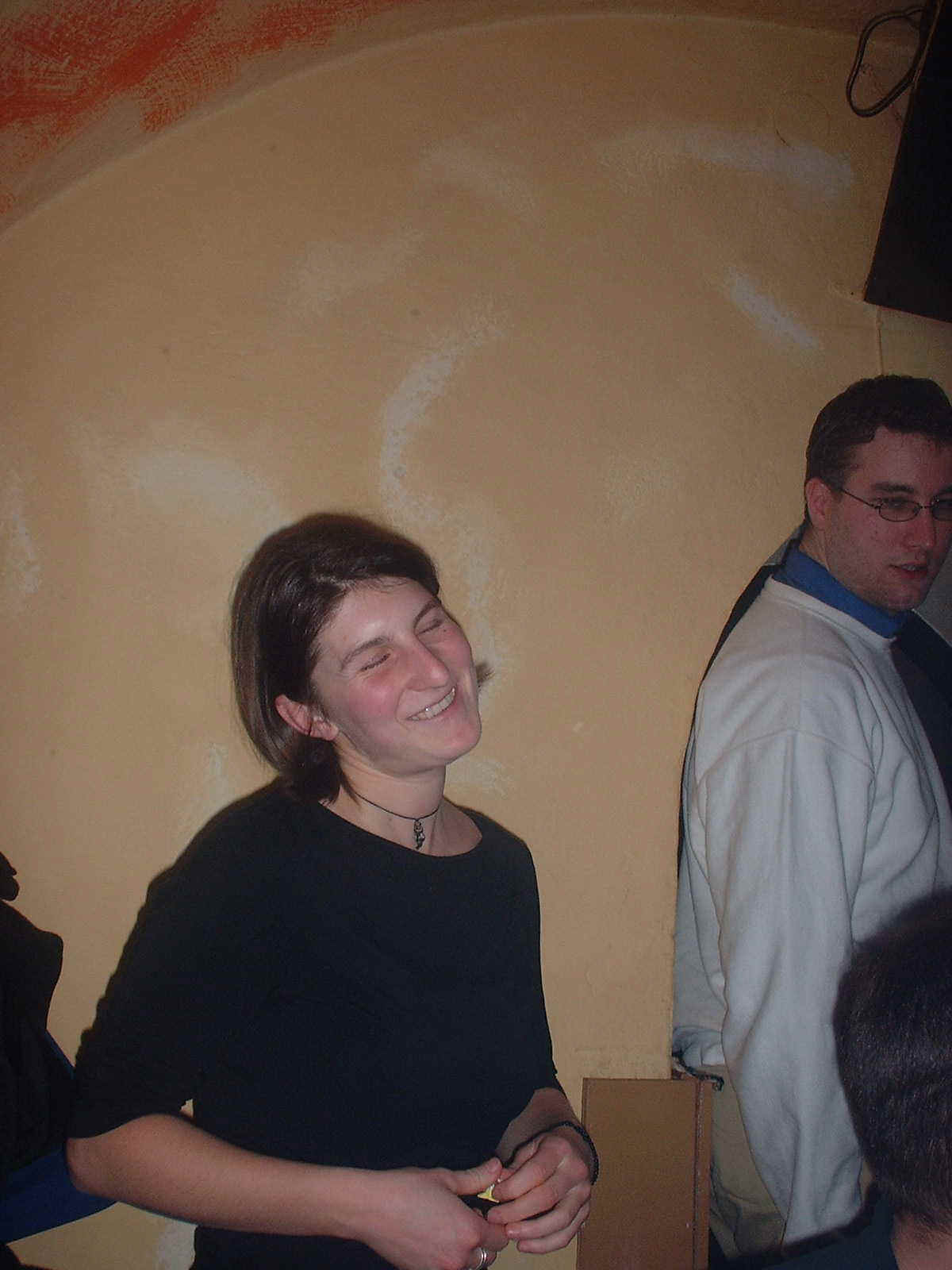 39.jpg (94477 bytes)
