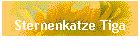 Sternenkatze Tiga