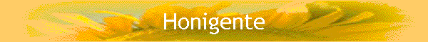 Honigente
